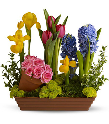 Spring Favorites from Sharon Elizabeth's Floral Designs in Berlin, CT